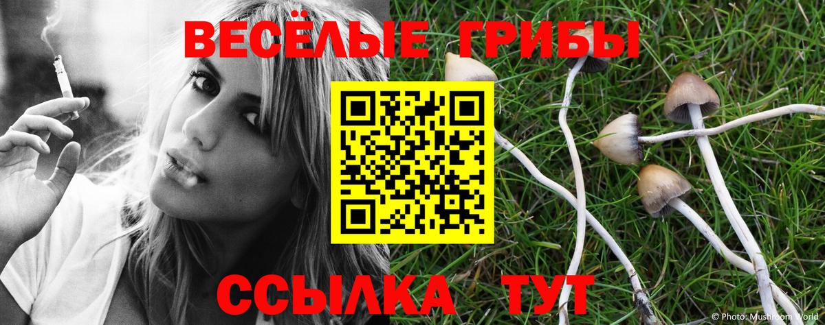 A PVP Сертолово