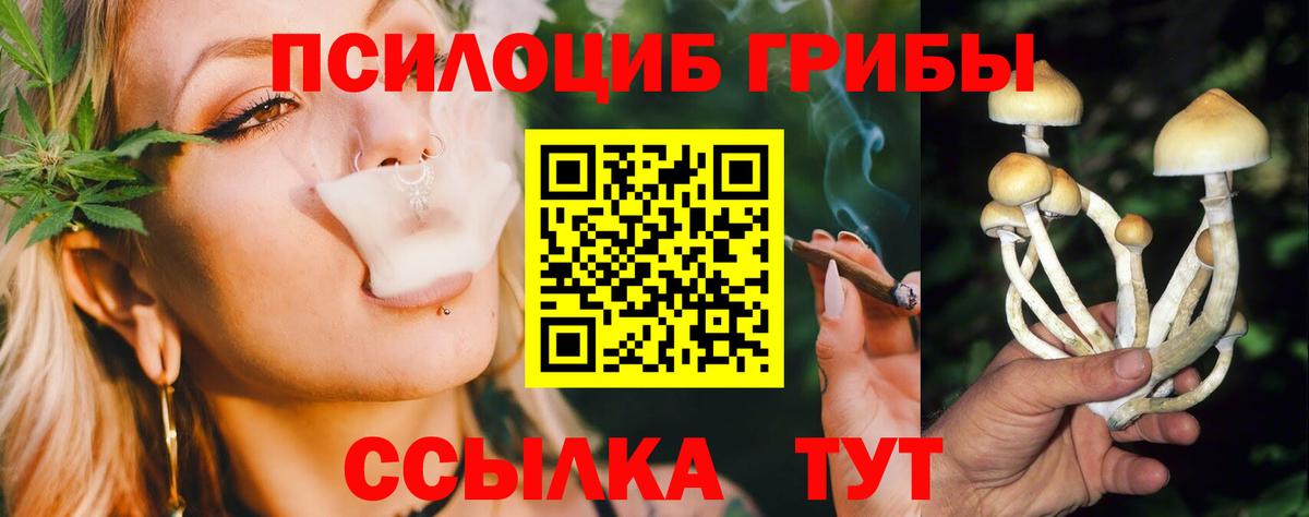 Псилоцибиновые грибы мухоморы Сертолово